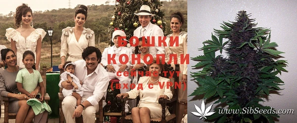 экстази Рославль