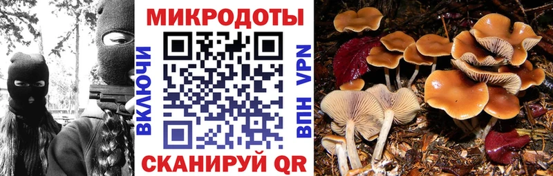 Галлюциногенные грибы GOLDEN TEACHER Тында