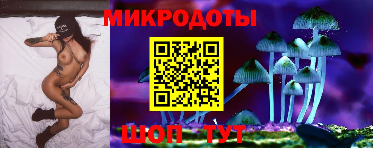 магазин    Вход с VPN  Тында  Галлюциногенные грибы Cubensis 